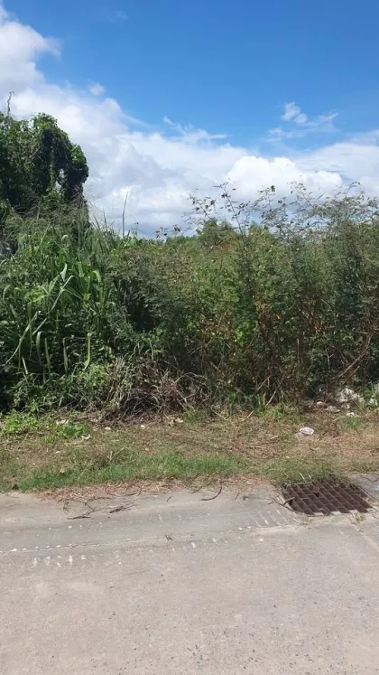 Land for Sale 1 Rai 1 Ngan 83 Sq Wah in Prime Chalong Area