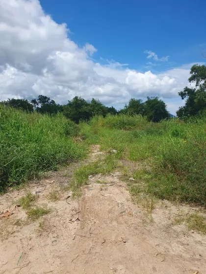 Land for Sale 1 Rai 1 Ngan 83 Sq Wah in Prime Chalong Area
