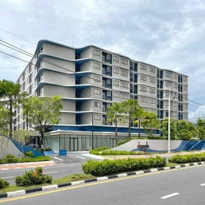 1 Bedroom 1 Bathroom - DCONDO REEF Kathu Phuket