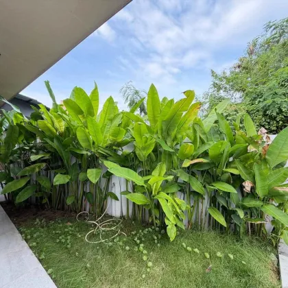 Urgent Sale: Private 3-Bed Pool Villa in Chalong, Phuket