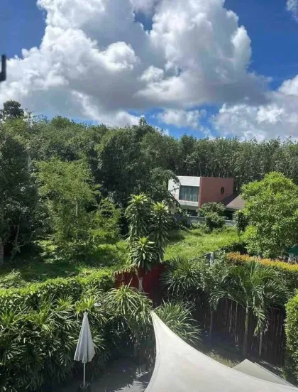 普吉岛邦涛高端4卧室豪华泳池别墅出售