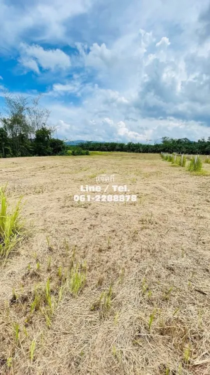 Terrain Vacant Abordable à Vendre avec Vue sur la Montagne