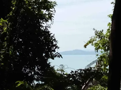 ที่ดิน 4 ไร่ พร้อมสิ่งปลูกสร้าง วิวทะเล เกาะสิเหร่ ภูเก็ต