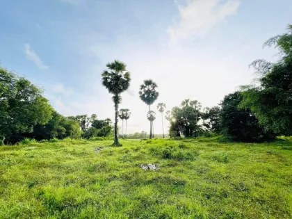ที่ดินเปล่าสวยวิวภูเขาที่โคกกลอย