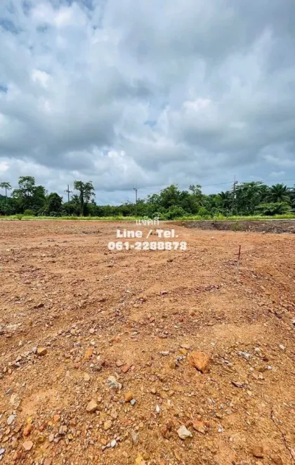 Terrain vacant de 1 rai avec ruisseau et accès route principale à Ban Loi Yung