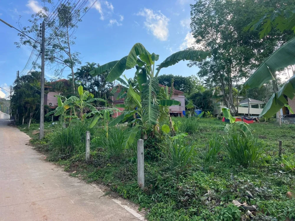 ที่ดินทำเลทองขายในฉลอง ภูเก็ต – เหมาะสำหรับวิลล่าหรือนิคมหรู