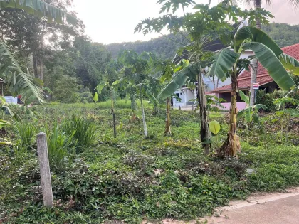 ที่ดินทำเลทองขายในฉลอง ภูเก็ต – เหมาะสำหรับวิลล่าหรือนิคมหรู