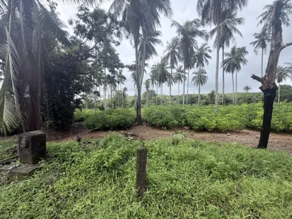 ที่ดินชายหาด Prime for Sale ที่ในไม้ขาว