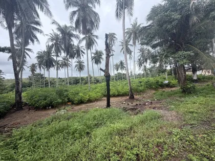 ที่ดินชายหาด Prime for Sale ที่ในไม้ขาว