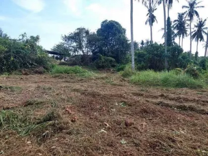Prime Land for Sale in Maharaj Soi 35, Patong