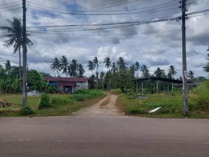 Prime Land for Sale in Maharaj Soi 35, Patong