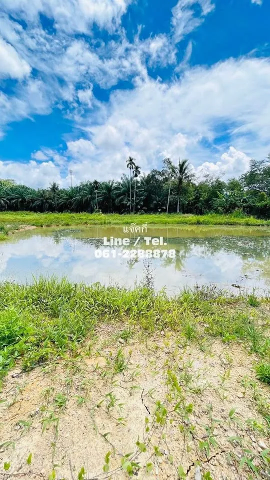 Beautiful Vacant Land for Sale near Samet Nangshe - Patong