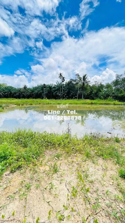 Beautiful Vacant Land for Sale near Samet Nangshe - Patong