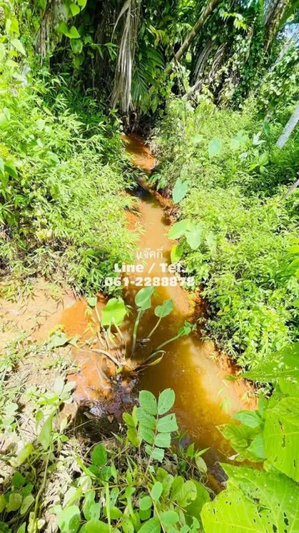 Beautiful Vacant Land for Sale near Samet Nangshe - Patong