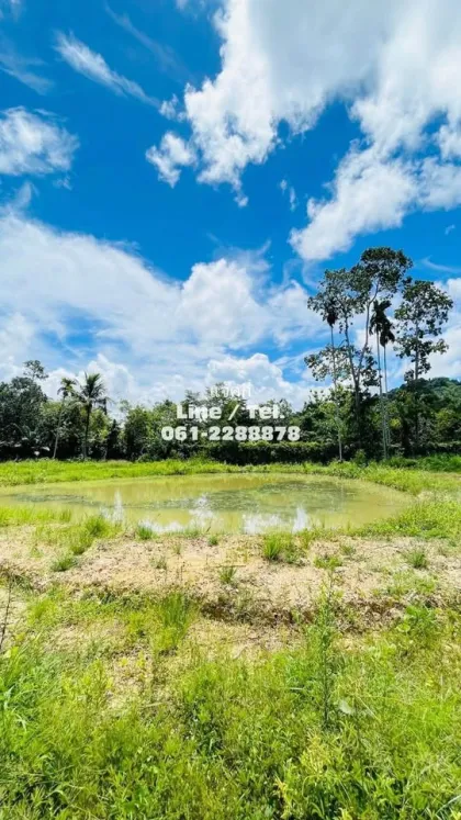 Beautiful Vacant Land for Sale near Samet Nangshe - Patong