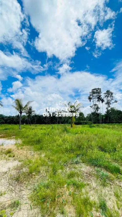 Beautiful Vacant Land for Sale near Samet Nangshe - Patong
