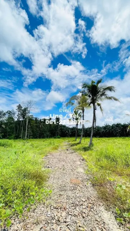 Beautiful Vacant Land for Sale near Samet Nangshe - Patong