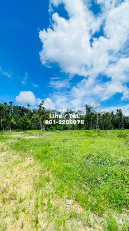 Beautiful Vacant Land for Sale near Samet Nangshe - Patong
