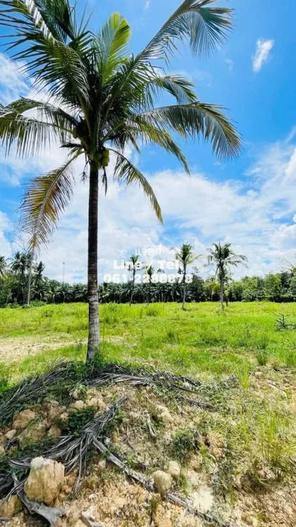 Beautiful Vacant Land for Sale near Samet Nangshe - Patong