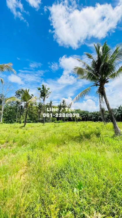 Beautiful Vacant Land for Sale near Samet Nangshe - Patong