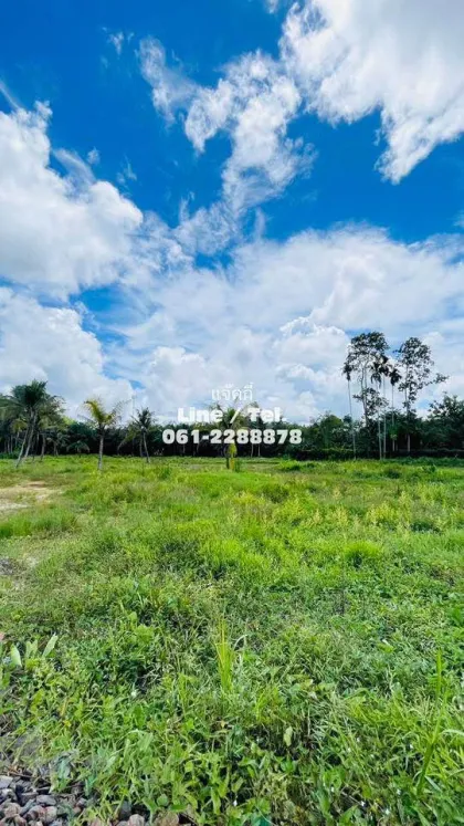 Beautiful Vacant Land for Sale near Samet Nangshe - Patong