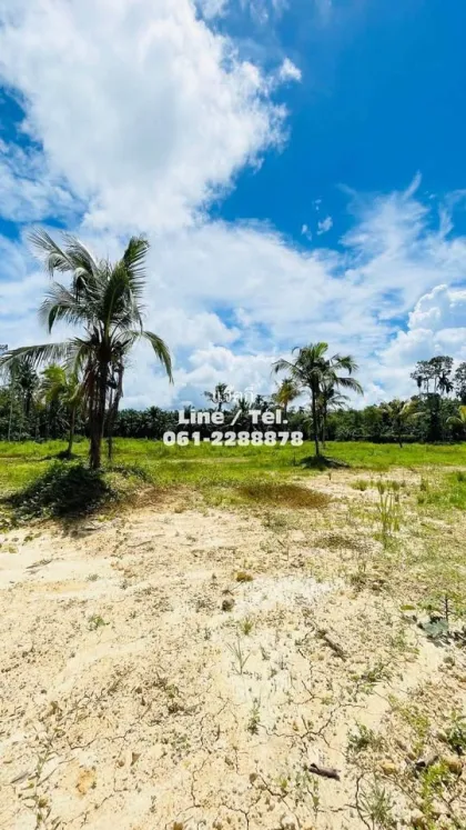 Beautiful Vacant Land for Sale near Samet Nangshe - Patong