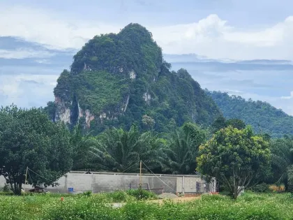 Terrain avec vue sur la montagne à vendre à Nong Thale, Krabi