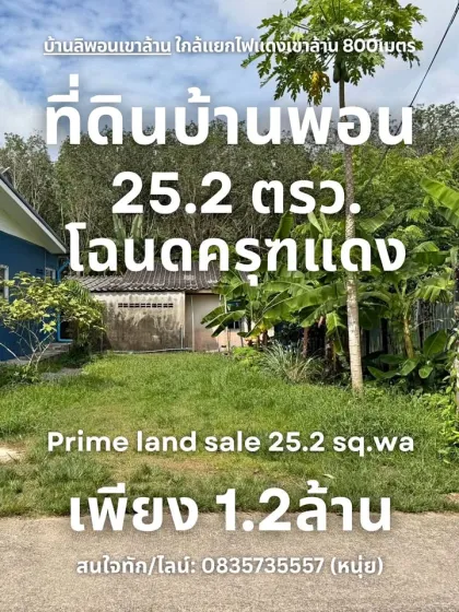 Land for Sale 25.2 sq.wa near Khao Lan Traffic Light, Rawai