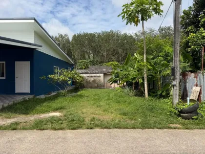 Land for Sale 25.2 sq.wa near Khao Lan Traffic Light, Rawai