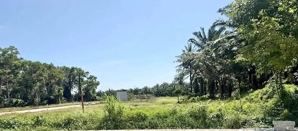 Terrain magnifique à vendre à Rawai sous 1 million de baht