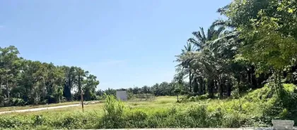 Terrain magnifique à vendre à Rawai sous 1 million de baht