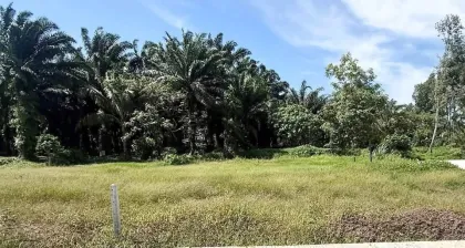 Terrain magnifique à vendre à Rawai sous 1 million de baht