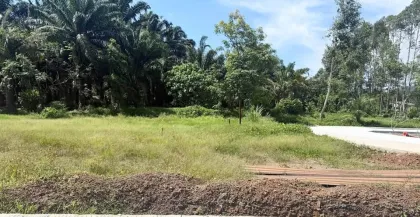 Terrain magnifique à vendre à Rawai sous 1 million de baht