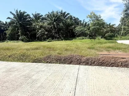 Terrain magnifique à vendre à Rawai sous 1 million de baht