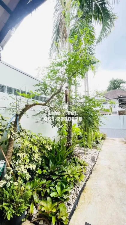Villa 3 chambres 4 salles de bain avec piscine privée à Phuket Town
