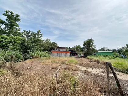 Terrain à vendre à Tha La - Pa Klok 100 Wah près de la mer à Phuket