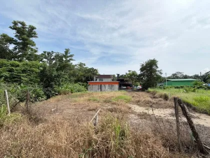 Terrain à vendre à Tha La - Pa Klok 100 Wah près de la mer à Phuket