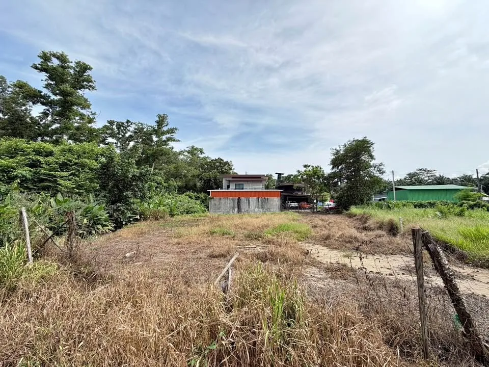 普吉岛卡马拉区域哈达拉巷土地出售