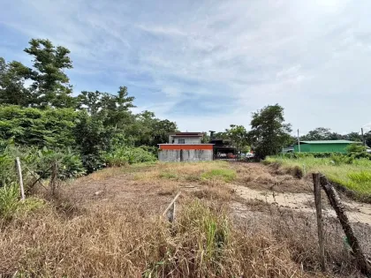 Terrain à vendre à Kamala, Phuket – secteur Soi Had Thala