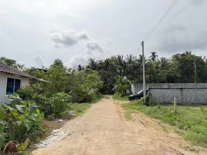 Terrain à vendre à Kamala, Phuket – secteur Soi Had Thala