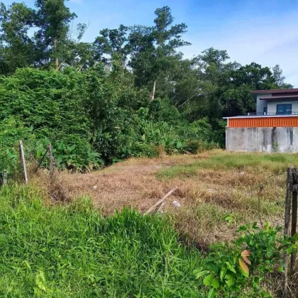 Terrain à vendre à Kamala, Phuket – secteur Soi Had Thala