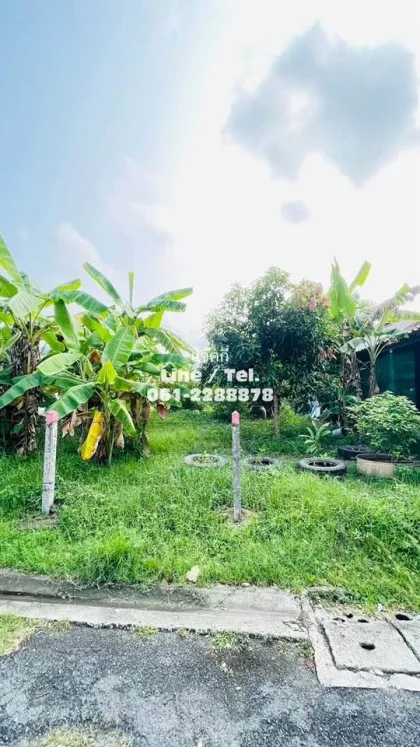 ขายที่ดินพร้อมบ้านเช่า 4 หลังในตลาดใหญ่ เมืองภูเก็ต