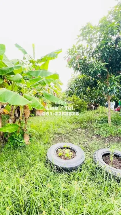 ขายที่ดินพร้อมบ้านเช่า 4 หลังในตลาดใหญ่ เมืองภูเก็ต