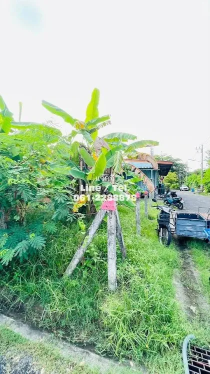 ขายที่ดินพร้อมบ้านเช่า 4 หลังในตลาดใหญ่ เมืองภูเก็ต