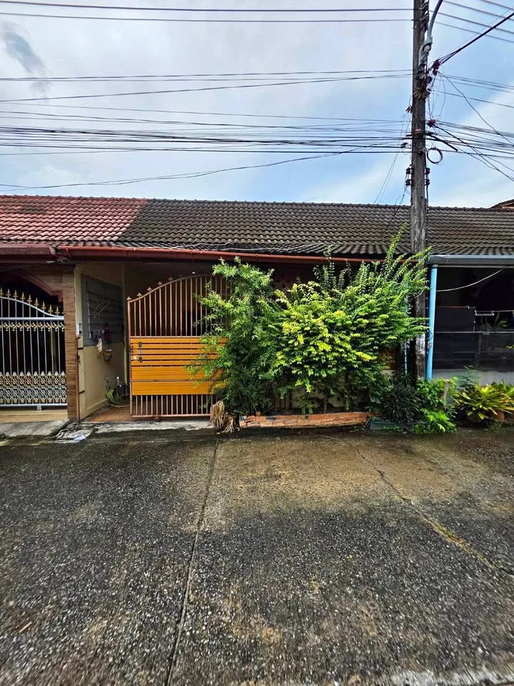 บ้าน 2 ห้องนอน 1 ห้องน้ำ ในโซนป่าหล่าย ฉลอง
