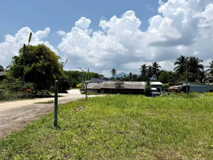 Beautiful 80.9 Wah Land Near Ban Khalai School