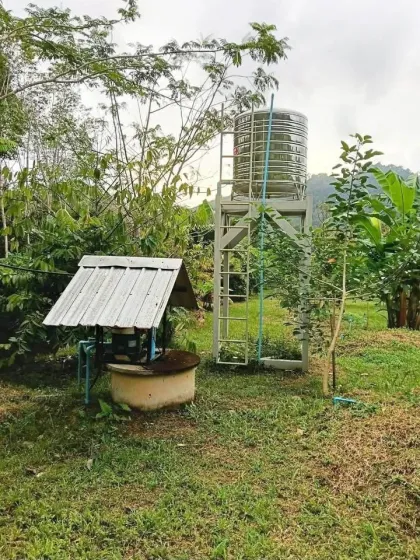 Durian-Plantage mit Bergblick zu verkaufen - Phang Nga