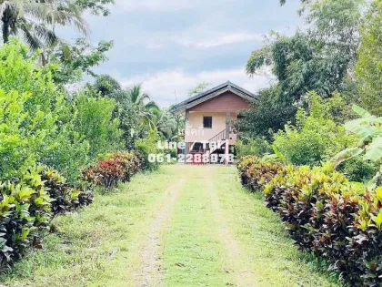 Large Orchard Home with Title Deed for Sale
