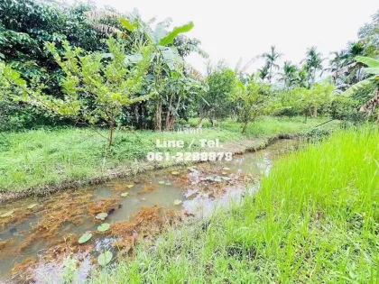 Large Orchard Home with Title Deed for Sale