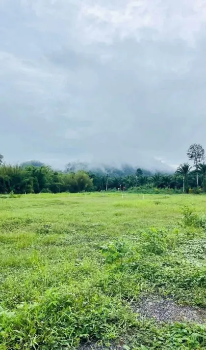邦通山景土地出售，攀牙府
